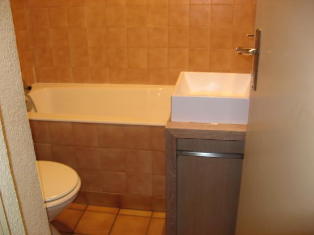 Location appartement T2 St Martin d'Heres - Photo 4