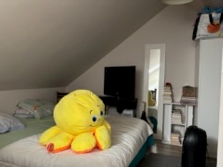 Location appartement T2 Orleans - Photo 5