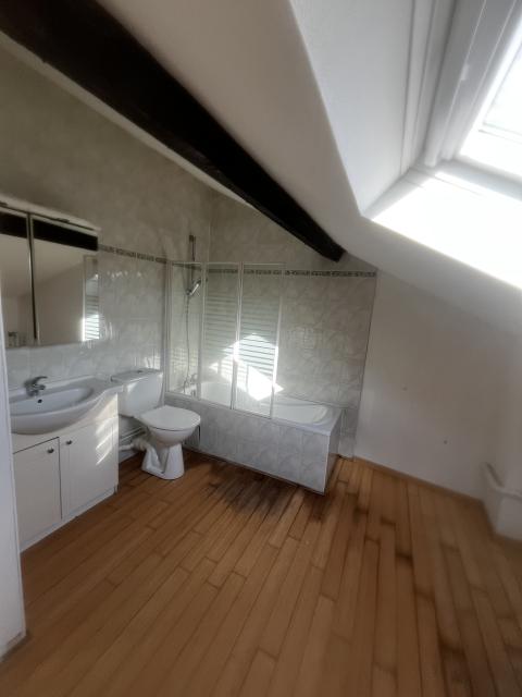 Location appartement T3 Nancy - Photo 2