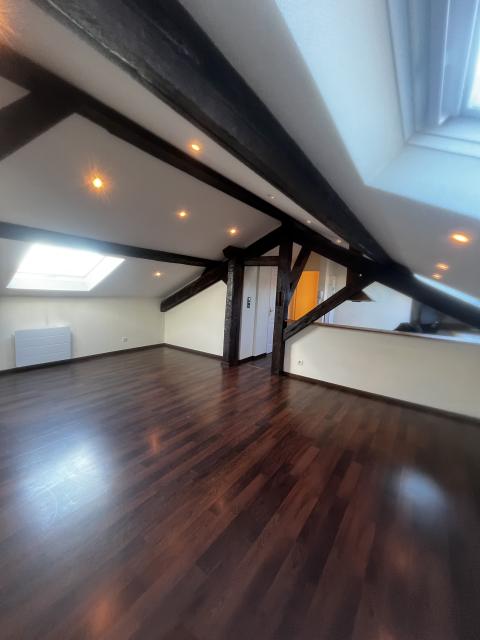 Location appartement T3 Nancy - Photo 5
