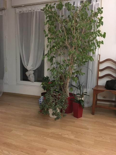 Location chambre Montreuil - Photo 4