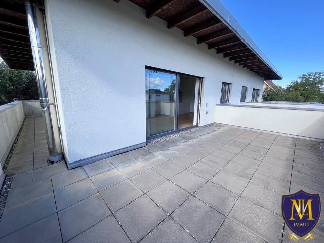 Location appartement T3 Hegenheim - Photo 2