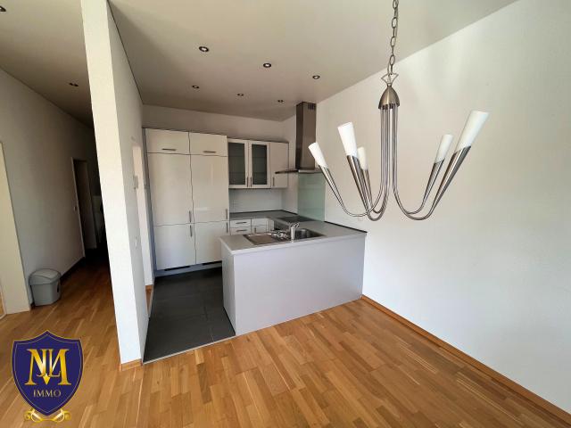 Location appartement T3 Hegenheim - Photo 4