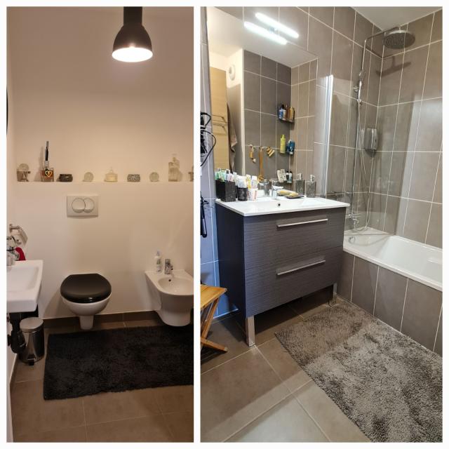 Location appartement T3 Annemasse - Photo 5