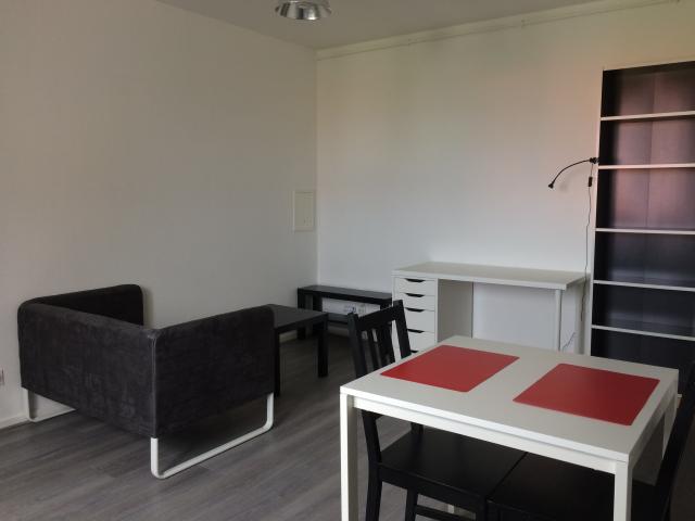 Location appartement T2 Strasbourg - Photo 4