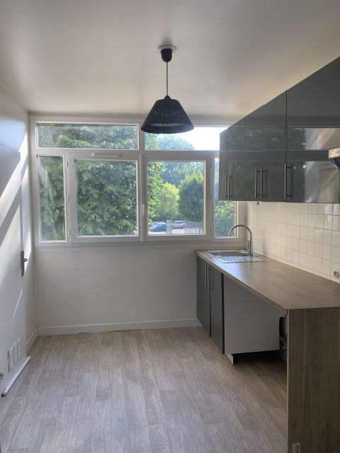 Location appartement T3 Savigny sur Orge - Photo 3