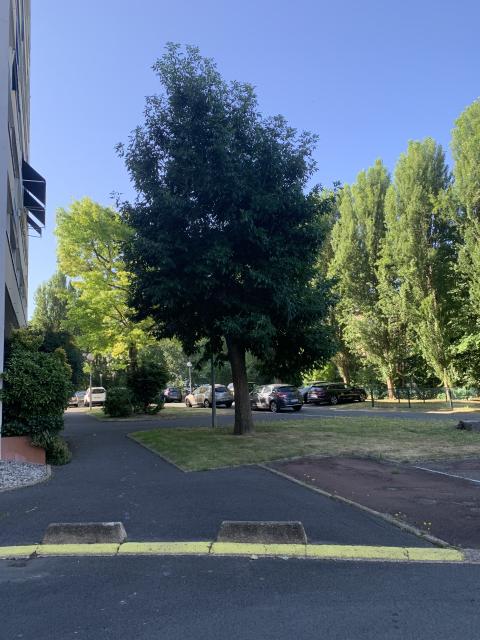 Location appartement T3 Savigny sur Orge - Photo 7