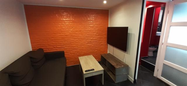 Location appartement T2 Lille - Photo 3