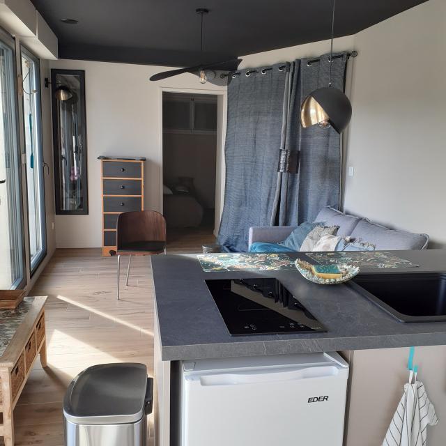 Location appartement T2 Rontalon - Photo 3