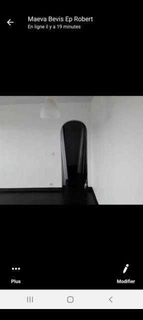 Location appartement T3 St Fargeau Ponthierry - Photo 5