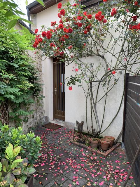 Location studio Jouy le Moutier - Photo 3