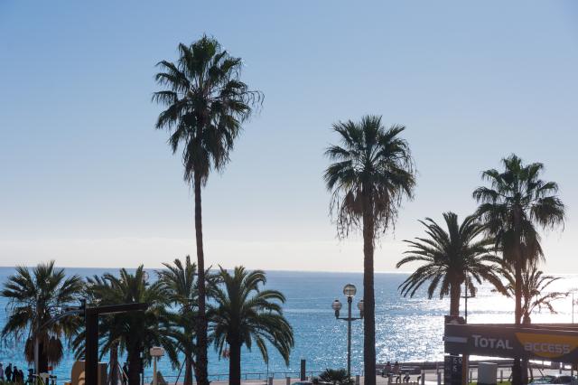 Location appartement T2 Nice - Photo 2