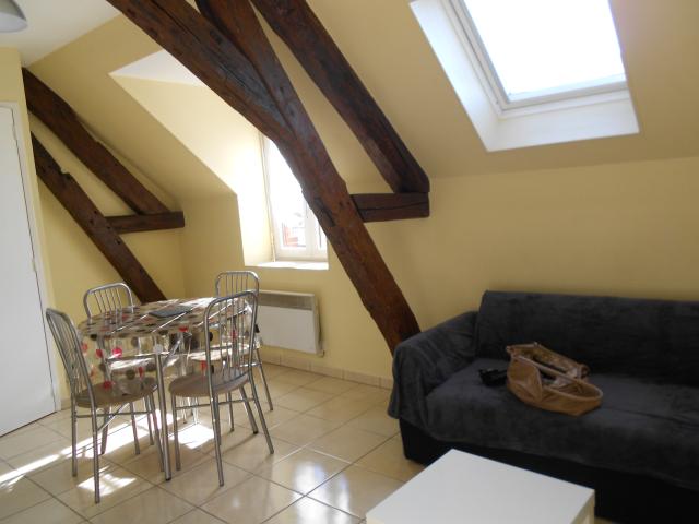 Location appartement T2 Varennes Changy - Photo 3