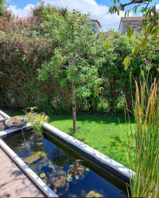 Location maison F4 Chatelaillon Plage - Photo 3