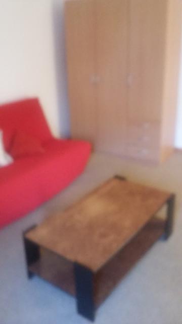 Location appartement T2 Neuvic - Photo 6