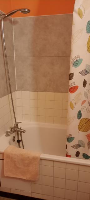 Location appartement T5 Lyon 9 - Photo 5