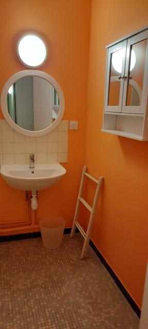 Location appartement T5 Lyon 9 - Photo 6