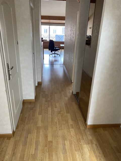 Location appartement T3 Toulouse - Photo 5