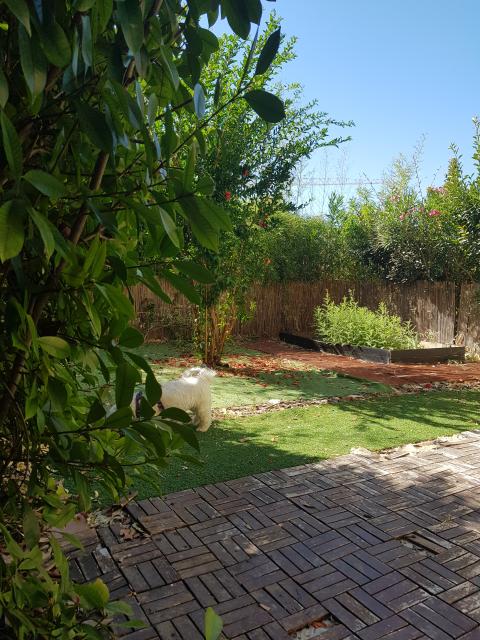 Location appartement T2 Brignoles - Photo 4