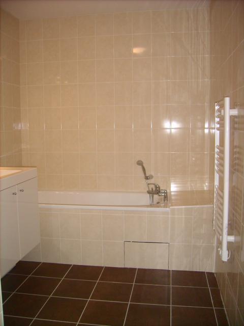 Location appartement T3 Grenoble - Photo 5