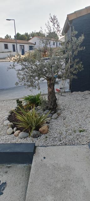 Location maison F4 Conques sur Orbiel - Photo 9