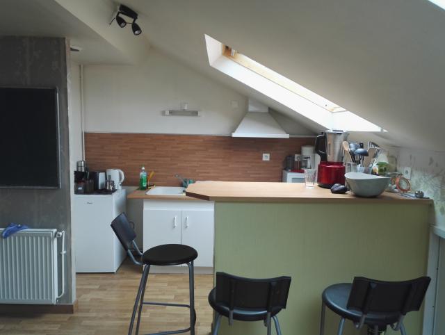 Location appartement T3 St Etienne - Photo 8