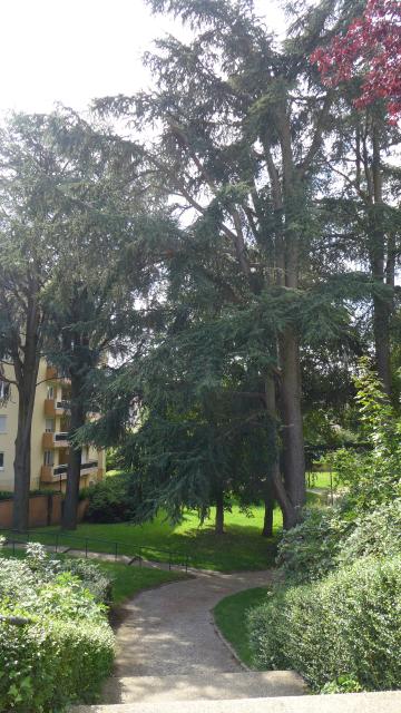 Location appartement T4 La Ricamarie - Photo 4