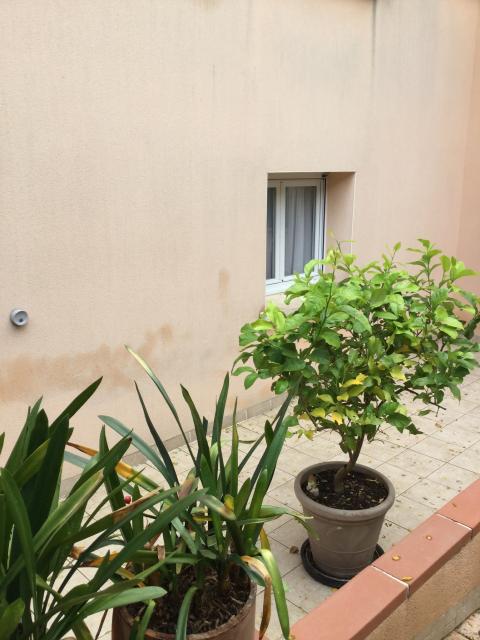 Location studio Castres - Photo 2