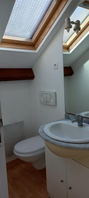 Location appartement T2 Nantes - Photo 4