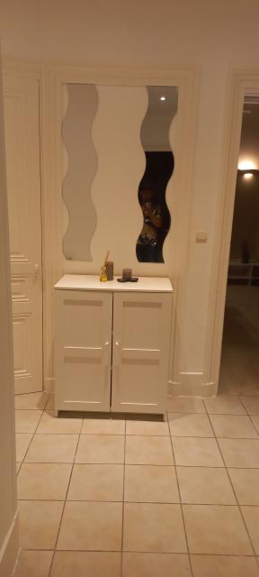 Location appartement T3 St Etienne - Photo 6