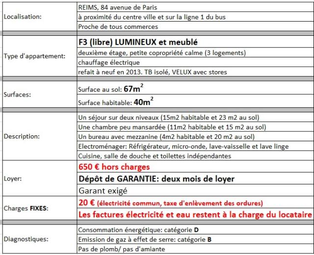 Location appartement T3 Reims - Photo 3