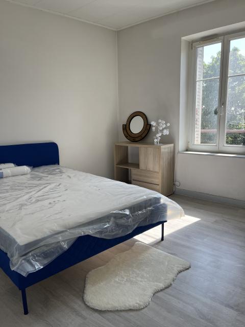Location appartement T3 Nancy - Photo 2