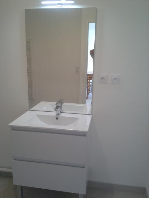 Location appartement T3 Nantes - Photo 3