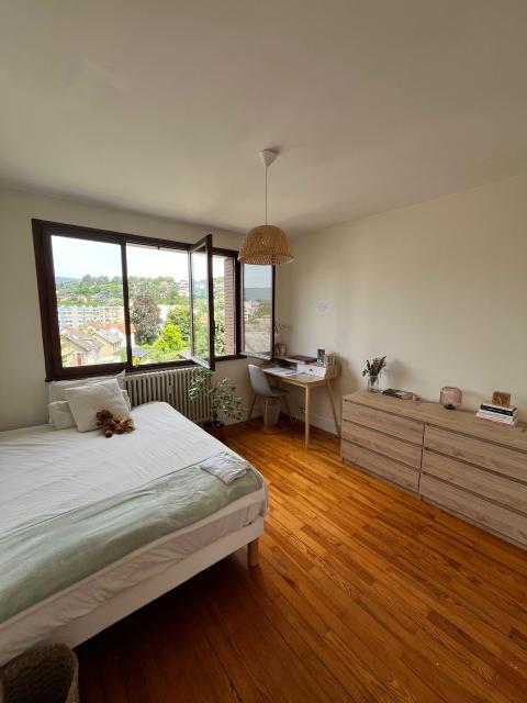 Location appartement T4 Chambery - Photo 3