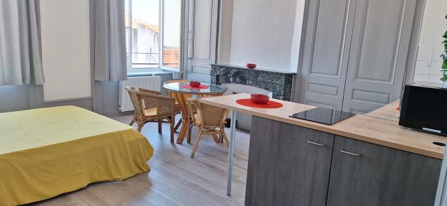Location studio St Etienne - Photo 4