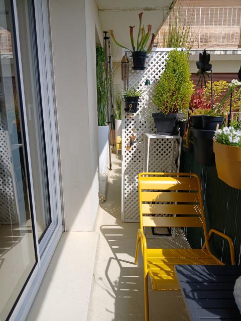 Location appartement T2 Viroflay - Photo 3