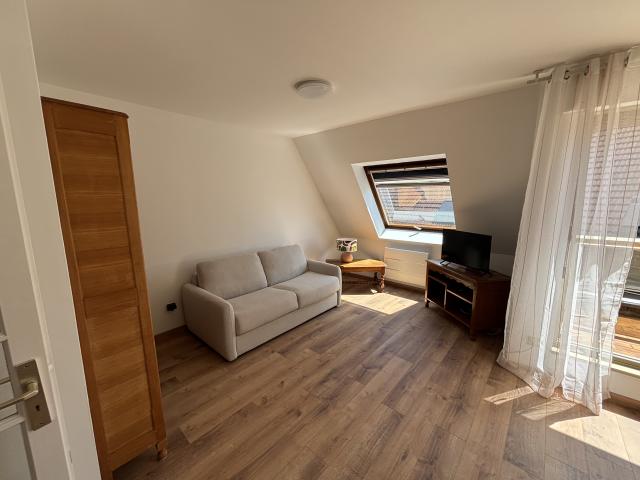 Location appartement T3 Strasbourg - Photo 3
