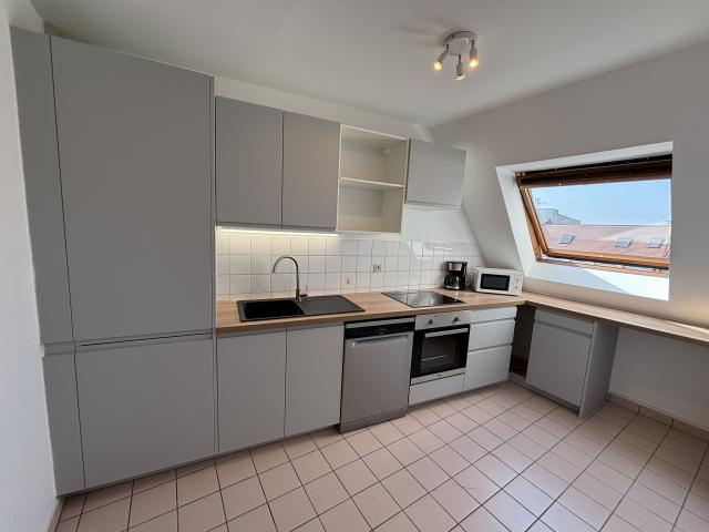 Location appartement T3 Strasbourg - Photo 7