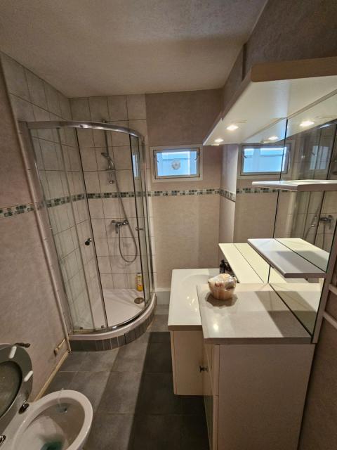 Location appartement T2 Colmar - Photo 2