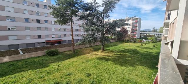 Location appartement T2 Colmar - Photo 3
