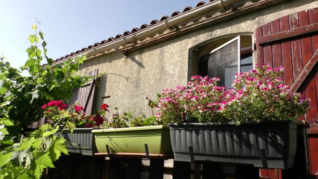 Location chambre Montpellier - Photo 9