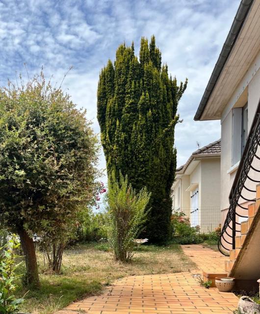 Location maison F5 Loue - Photo 5