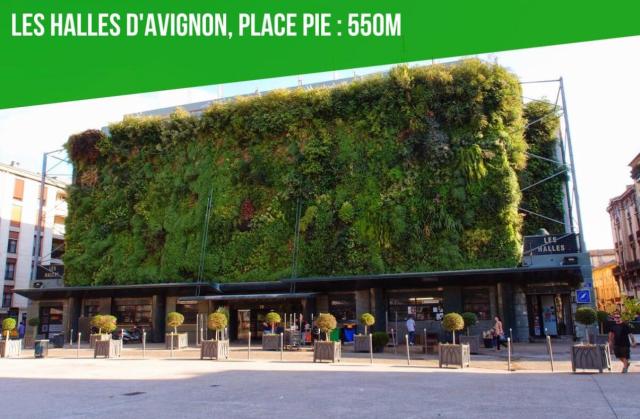Location appartement T2 Avignon - Photo 9