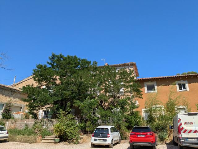 Location appartement T3 Servian - Photo 10