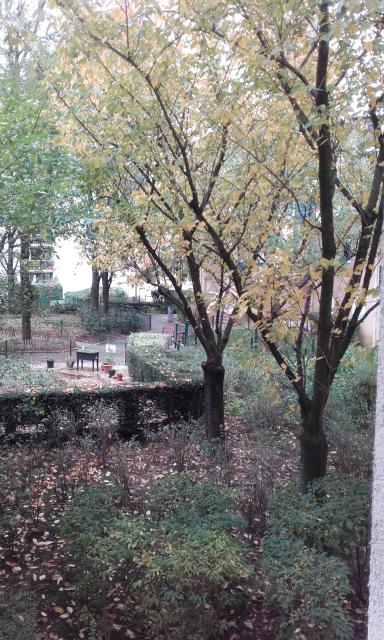 Location chambre Vanves - Photo 3