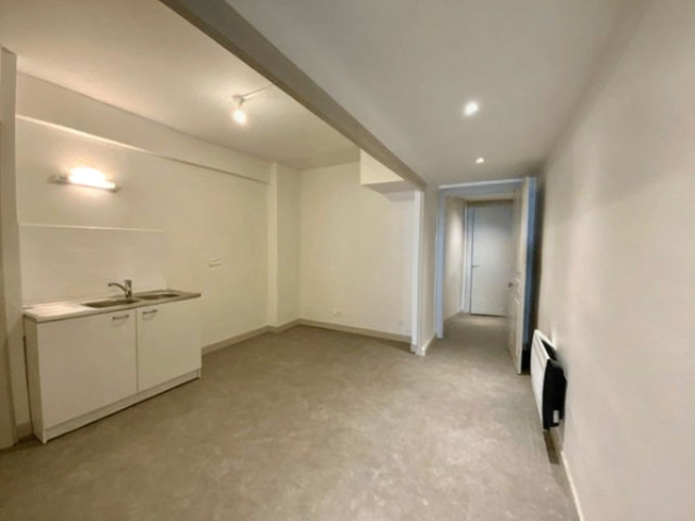 Location appartement T4 Lyon 7 - Photo 4