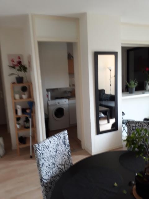 Location appartement T2 Toulouse - Photo 2