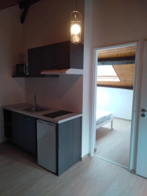 Location appartement T2 Aix les Bains - Photo 5