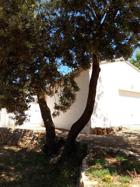 Location maison F4 Flayosc - Photo 2