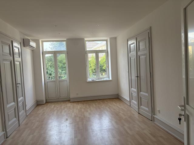 Location appartement T2 Sarrebourg - Photo 2